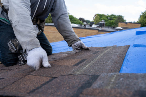 Quick and Trustworthy Emergency Roof Repair Services in Joliet, IL